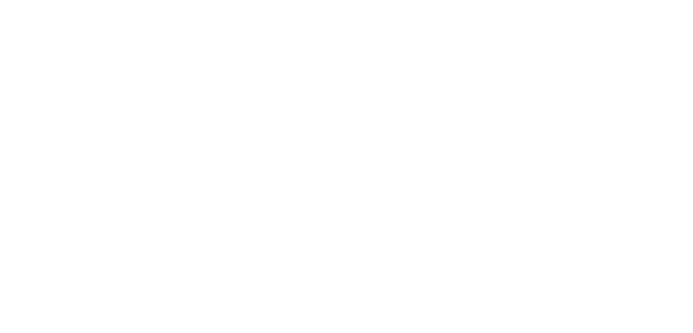 salesforce partner