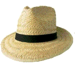 Strawhat Networking: Networking for the Rest of Us Logo