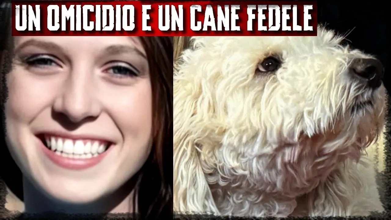 Un omicidio e un cane fedele – Mandy Raynolds