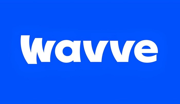 What is wavve? The easy way to add waveform animations to your videos.