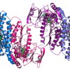 genomics