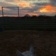 equestrianella