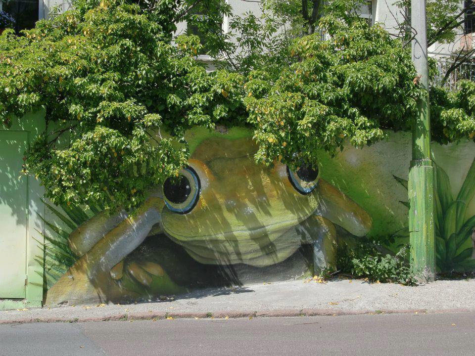 Frog