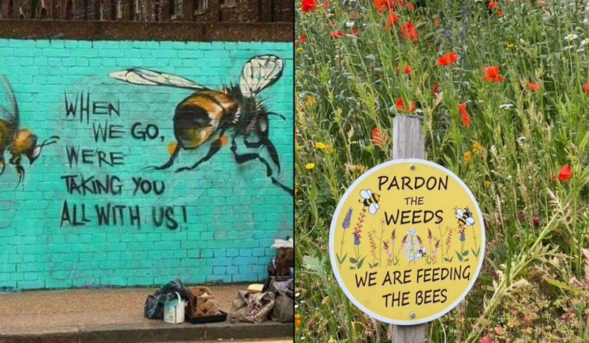 Bee Warning (8 Photos)