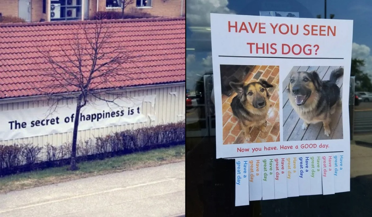 Funny Signs (8 Photos)