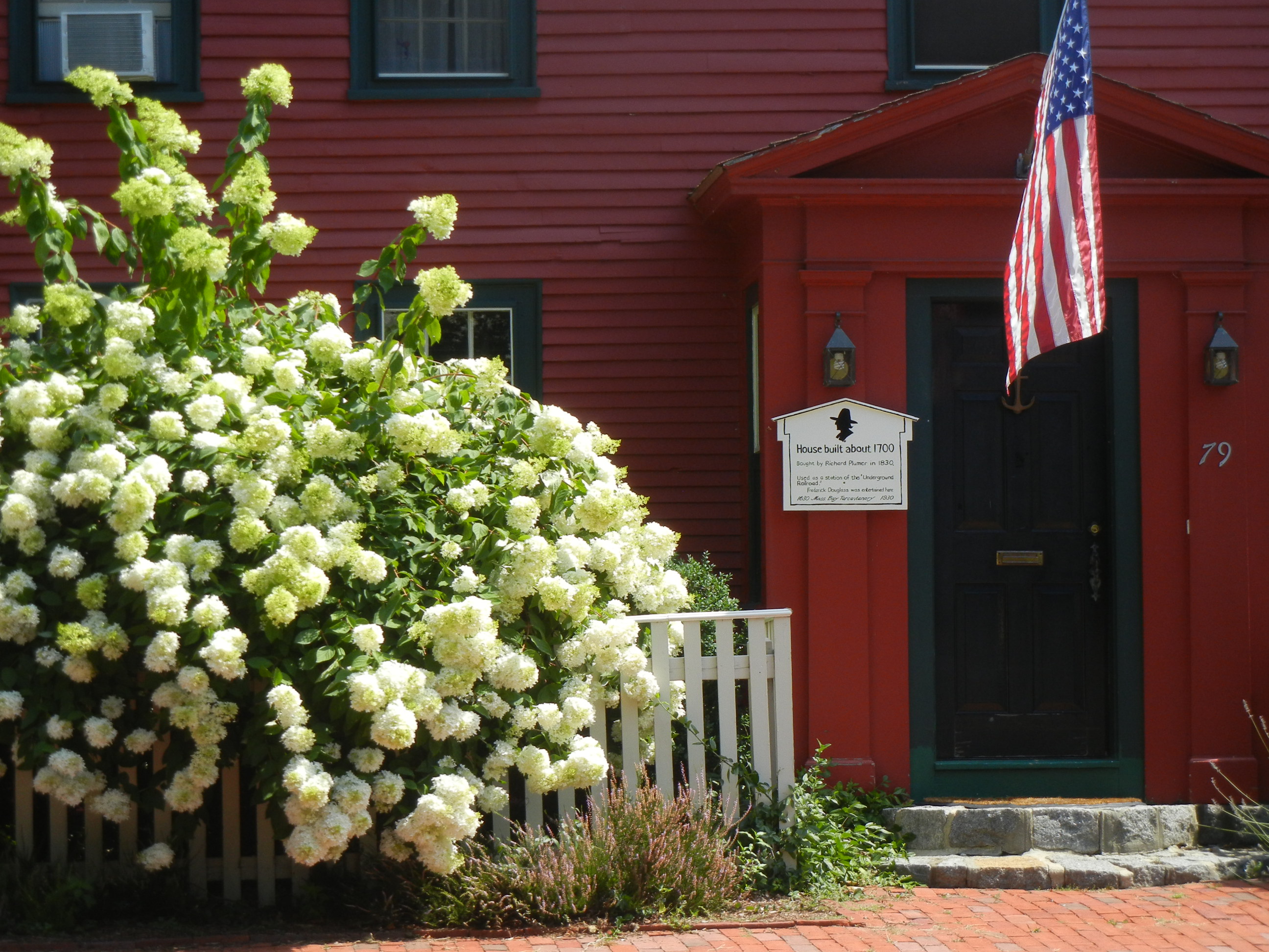 White Hydrangeas - streetsofsalem, image size:2592x1944