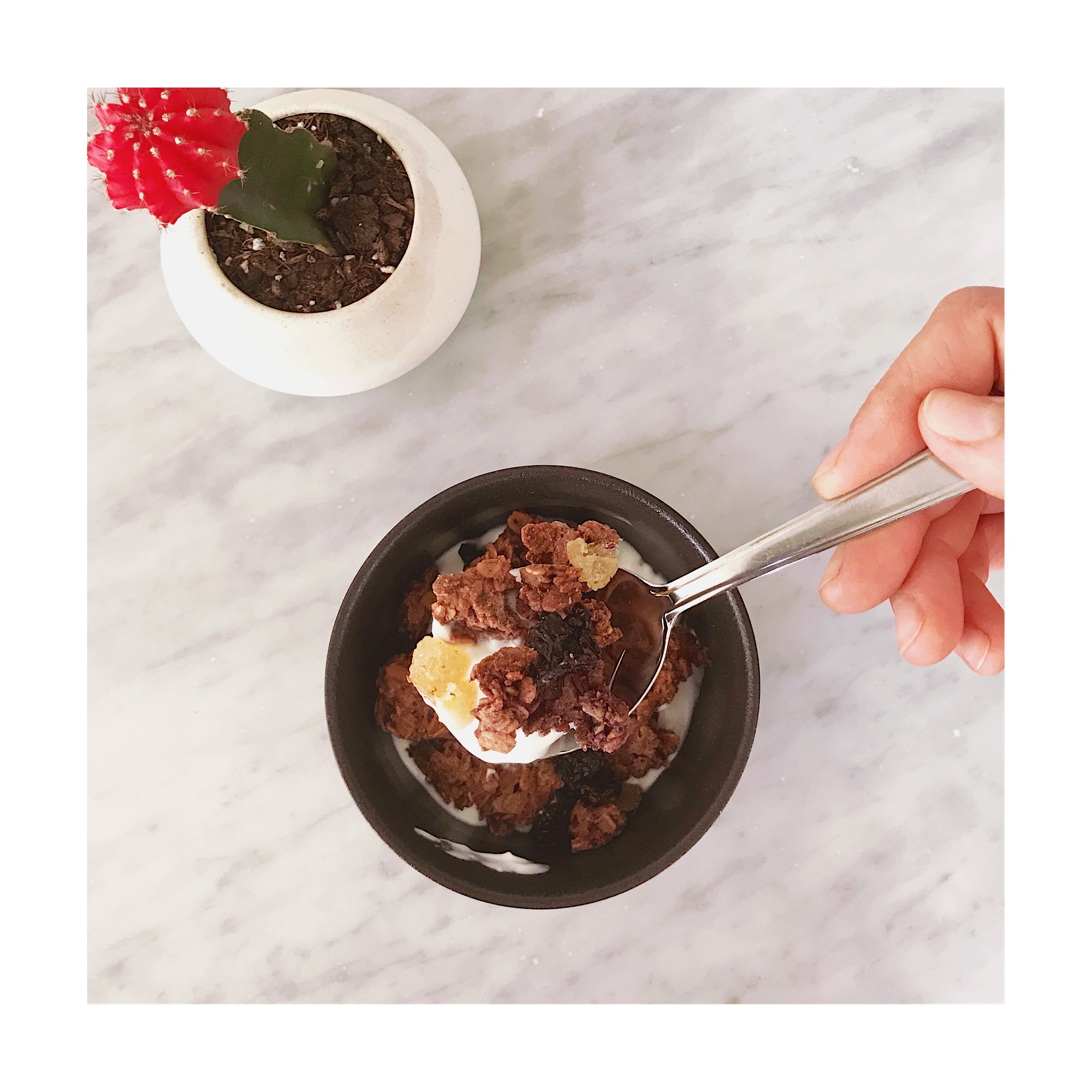 Granola and Bowl