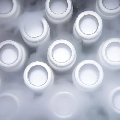 Cryopreservation Cold Chain Solutions | Strex Cell