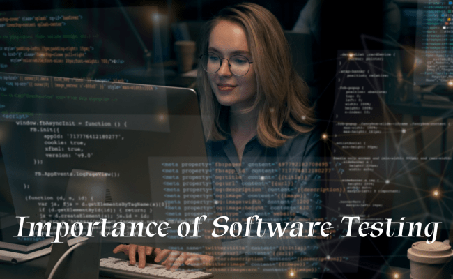 Importance Of Software Testing In The Development Process - Stridefuture
