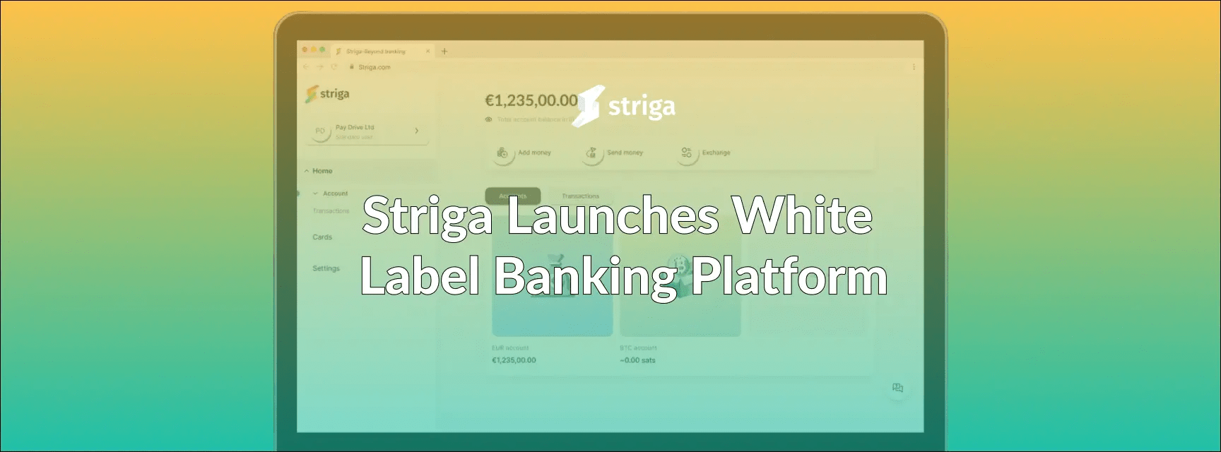 white label banking platform