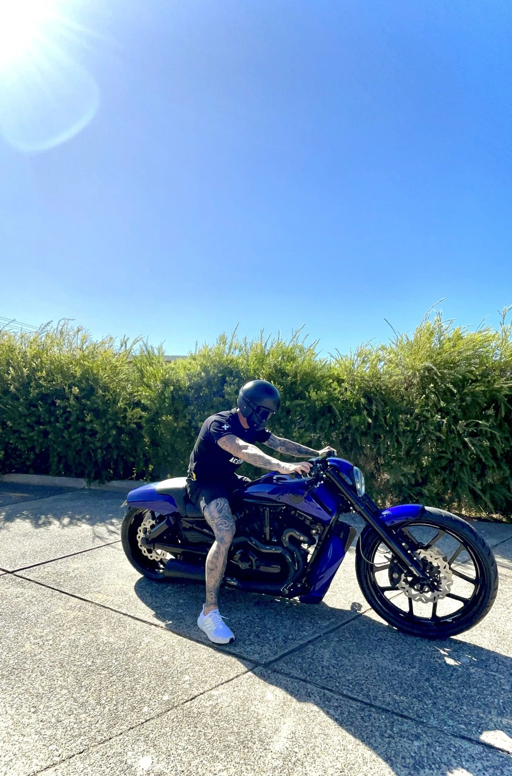 V rod tail online tidy