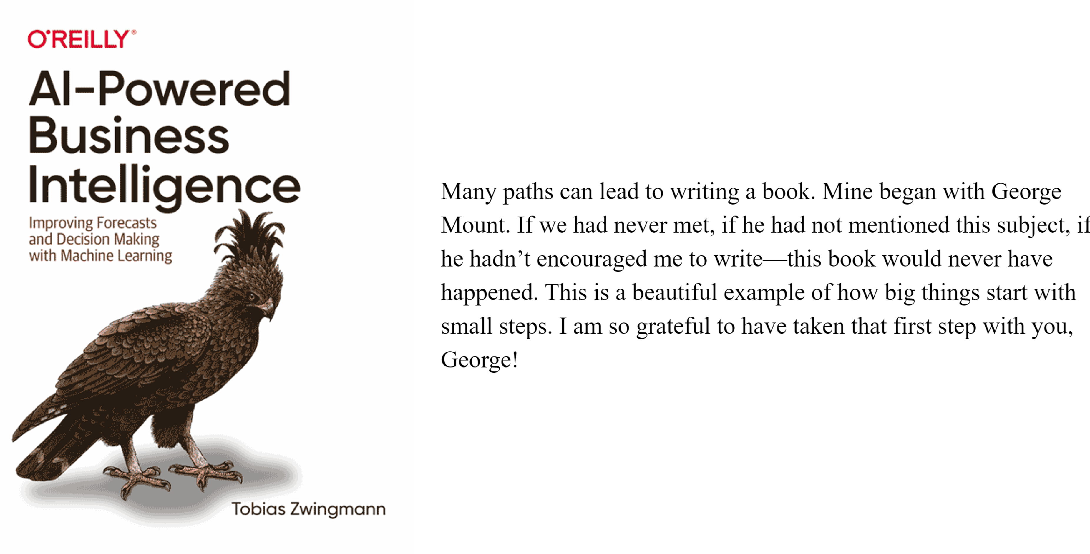 AI-powered business intelligence preface