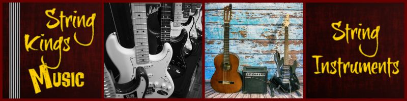 Stringed Instruments List Including Lutes Harps And Zithers - Download Modern Ocean Background | HD