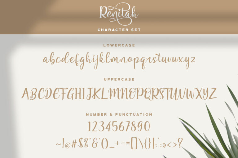 13 Font Preview