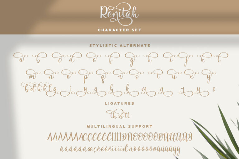 14 Font Preview