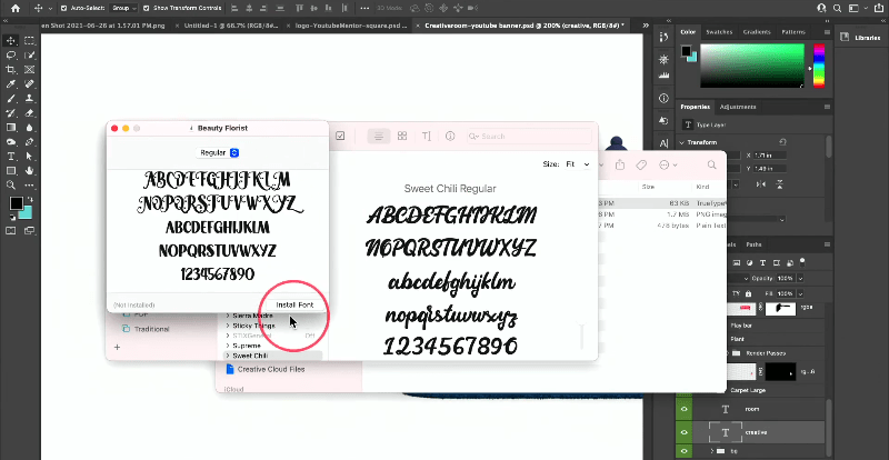 Install fonts