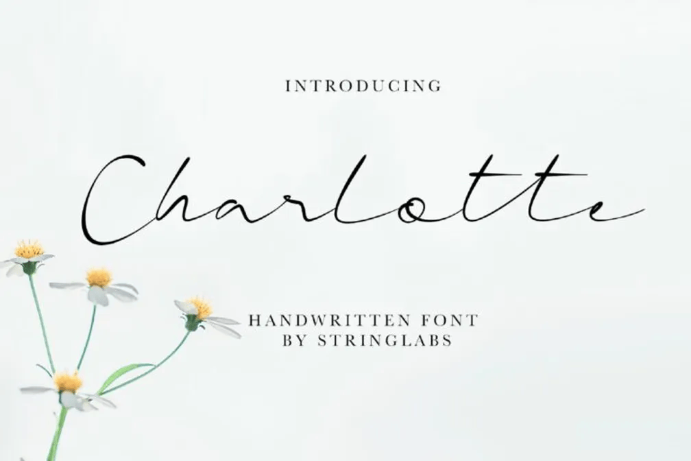 21.  Charlotte