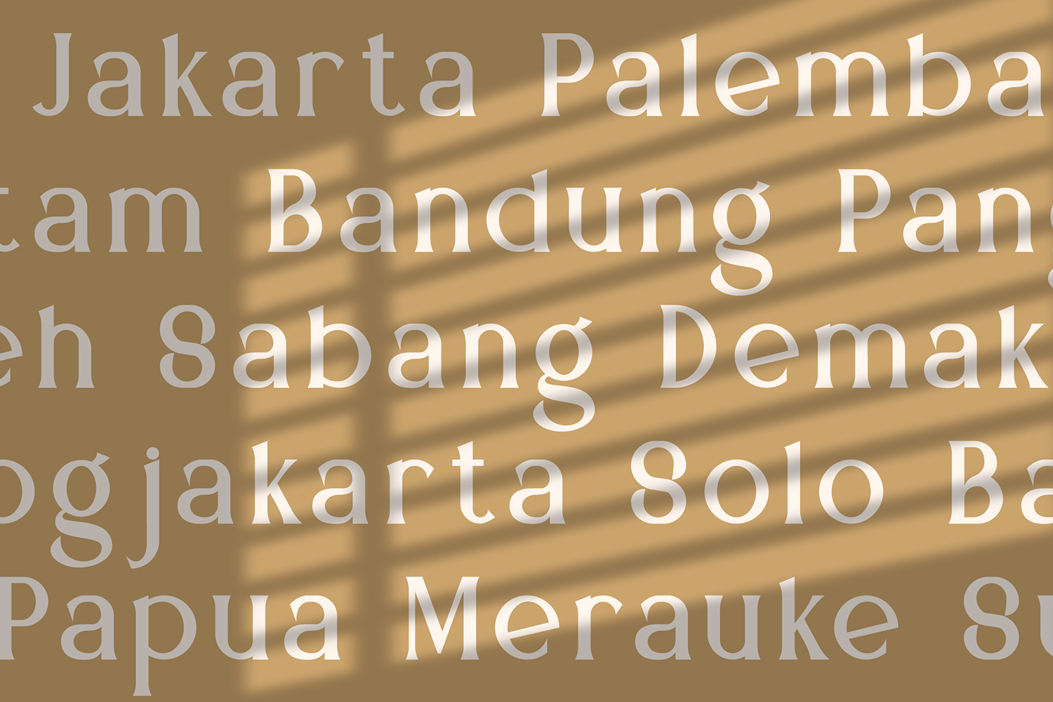 Mediqa 7