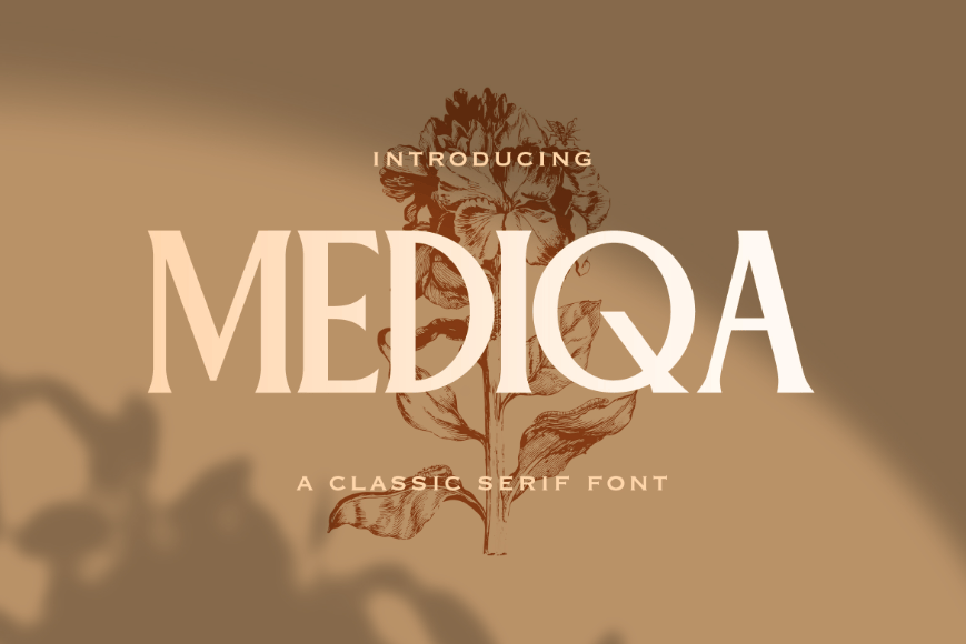 1. Mediqa
