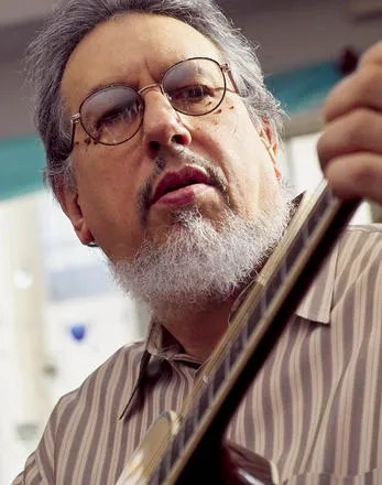 David Bromberg