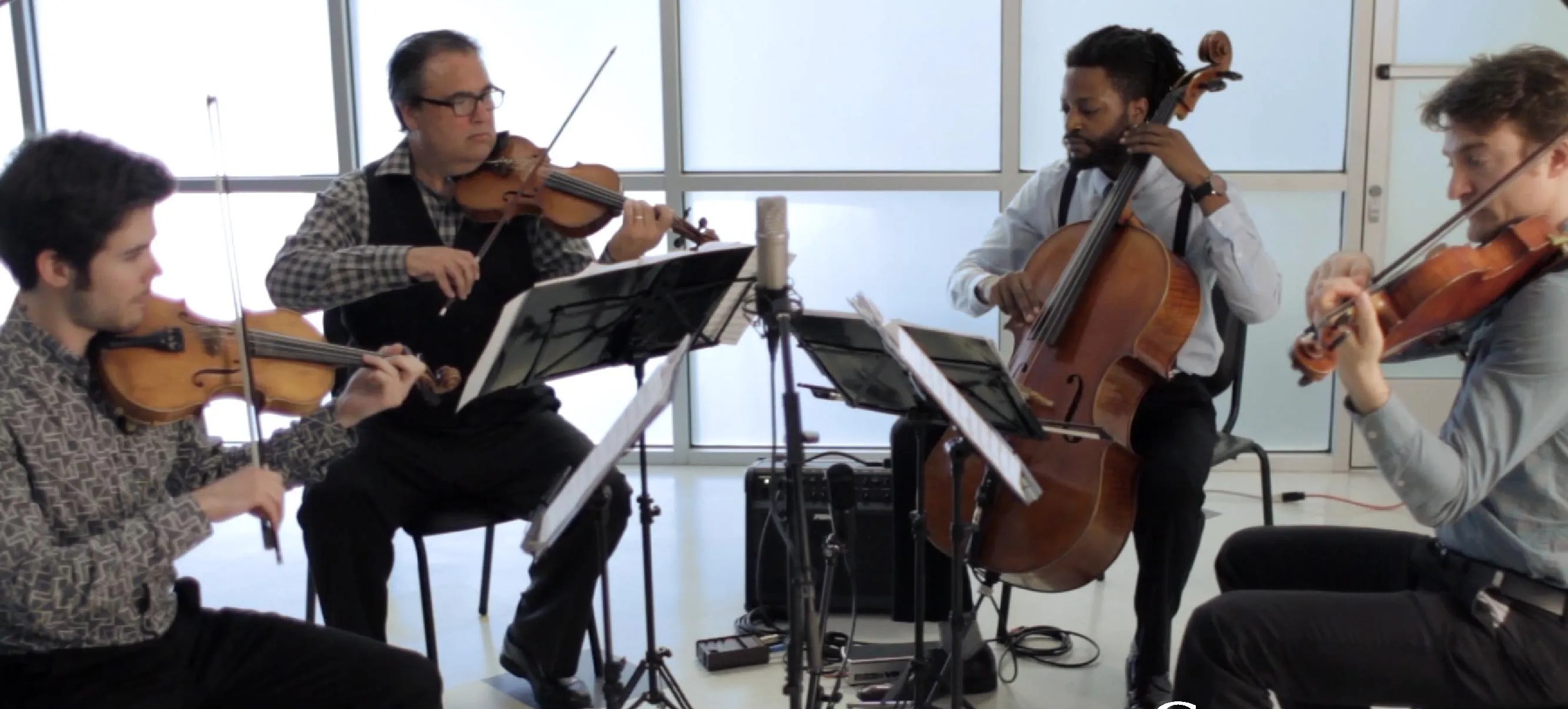 Turtle Island String Quartet