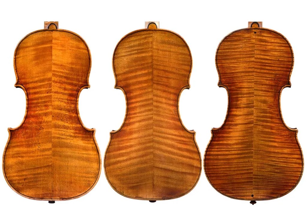 Comparing the mystery instrument (right) to two examples by Guarneri del Gesù (backs)