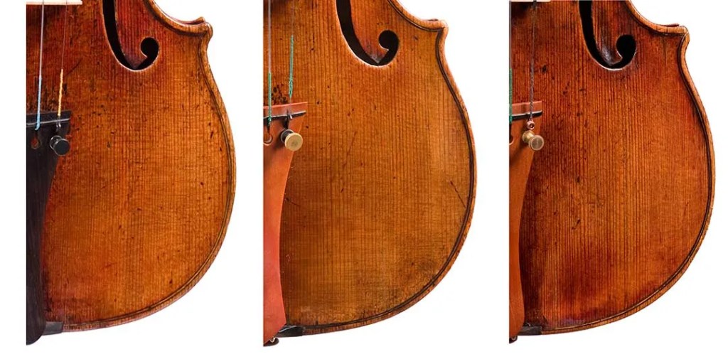The wear patterns of the mystery instrument (right) compared to those of the del Gesù violins