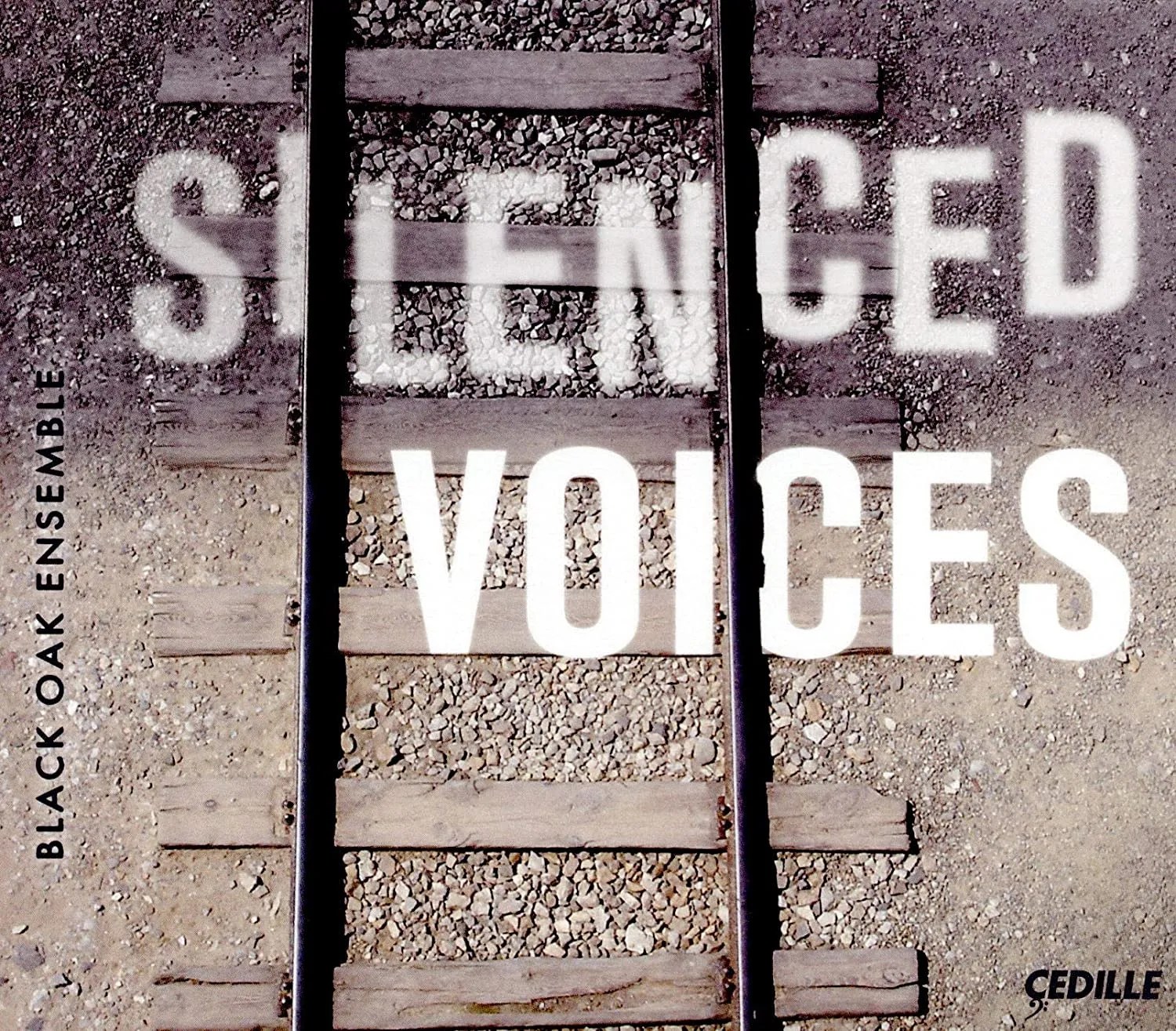 Silenced-Voices.jpg?fit=1200,