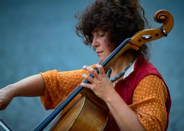 cellist