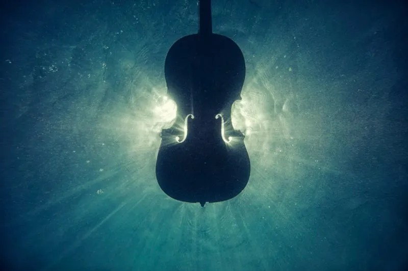 violin