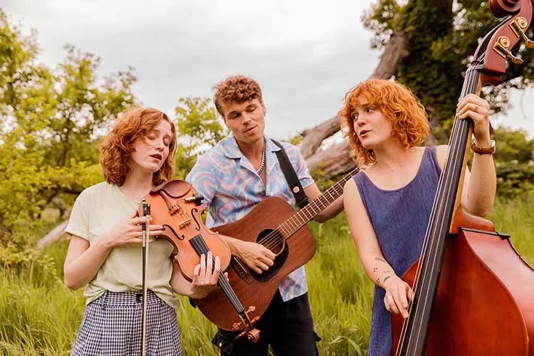 Good Morning Bedlam with upright bass, fiddle and guitar in a field