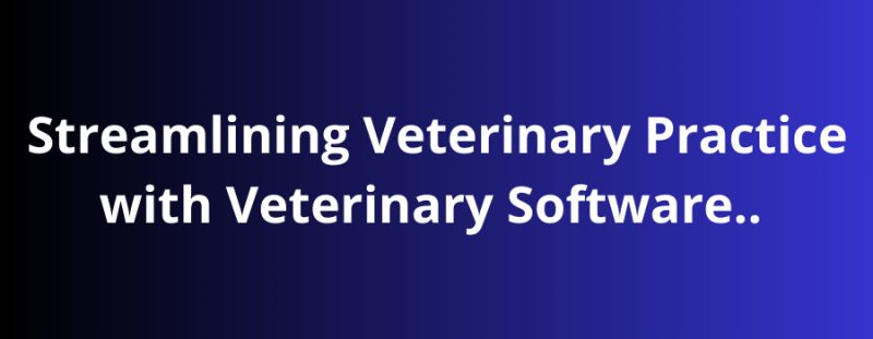 Veterinary Software Softwaredevelopment Practicemanagement Data - Best Abstract Designs in 4K