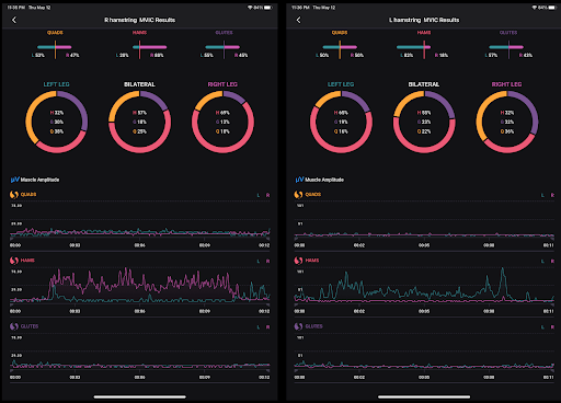 STRIVE lauren hamstrings