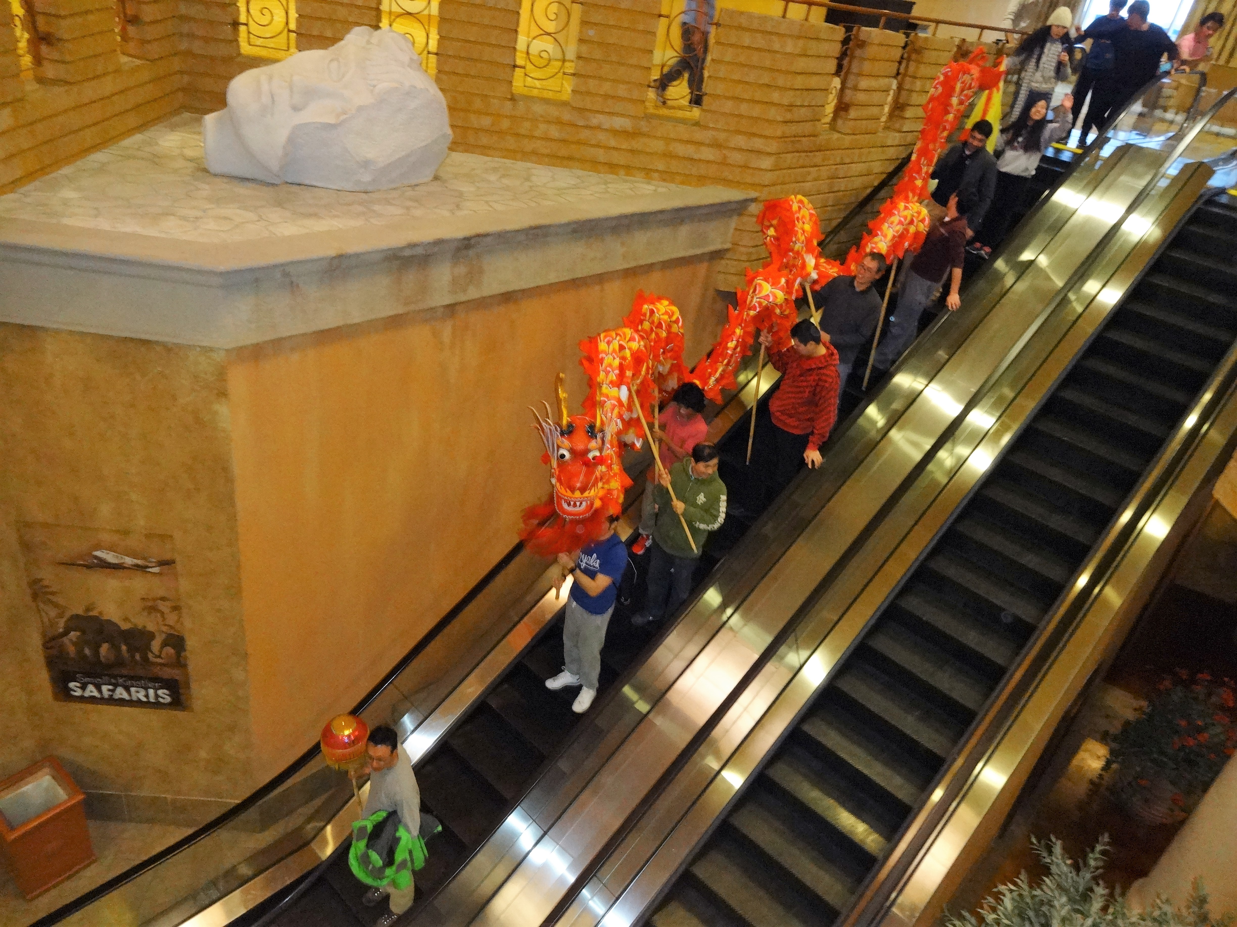 Dragon down the elevator