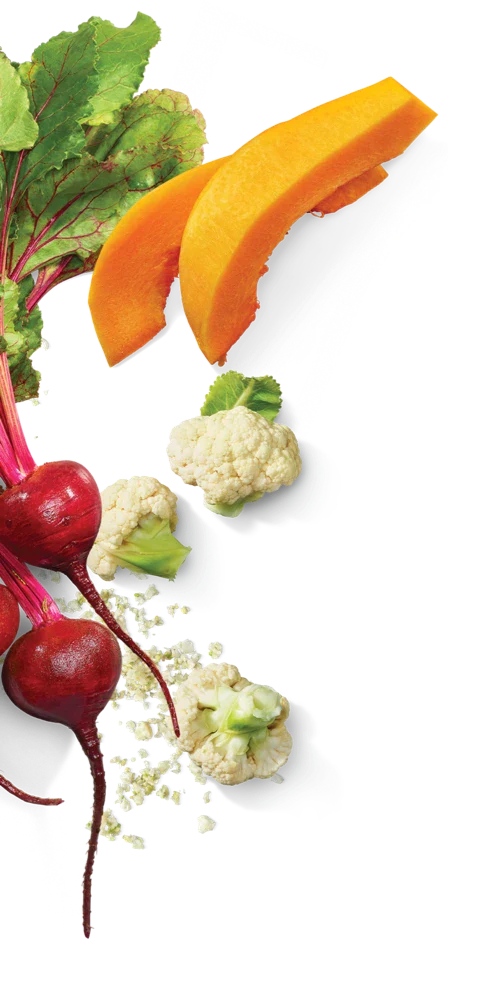 Careers Strong Roots