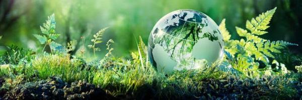 Green Globe On Moss – Environmental Concept Green Globe On Moss - Environmental Concept