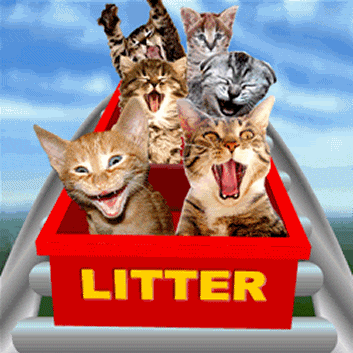 Katty Litter
