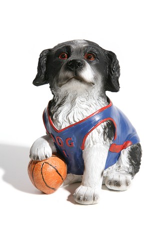 Dog the annuity hunter