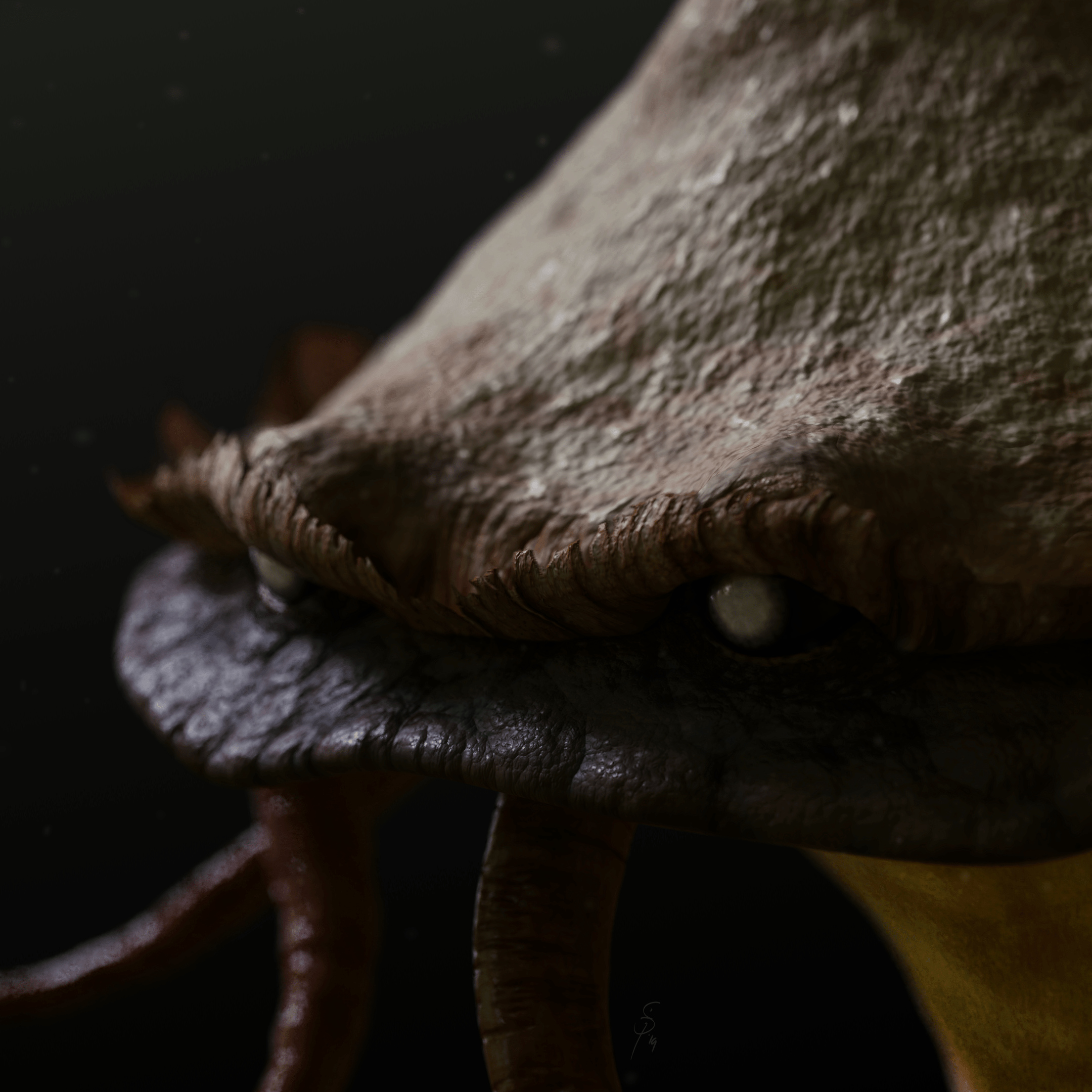 Concept Design - Mushroom Creature