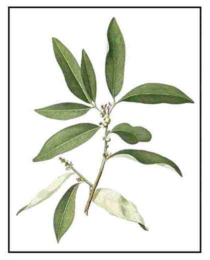 Image Posted By Gingging - Artistic High Resolution Colorful Pictures | Free Download