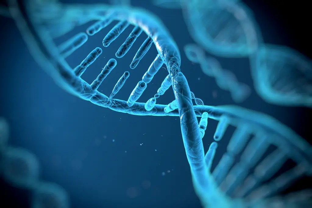 Alien Code Found in Human DNA, Scientists Claim
