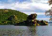 Ағза және орта. Өсімдіктер мен жануарлар әлемі