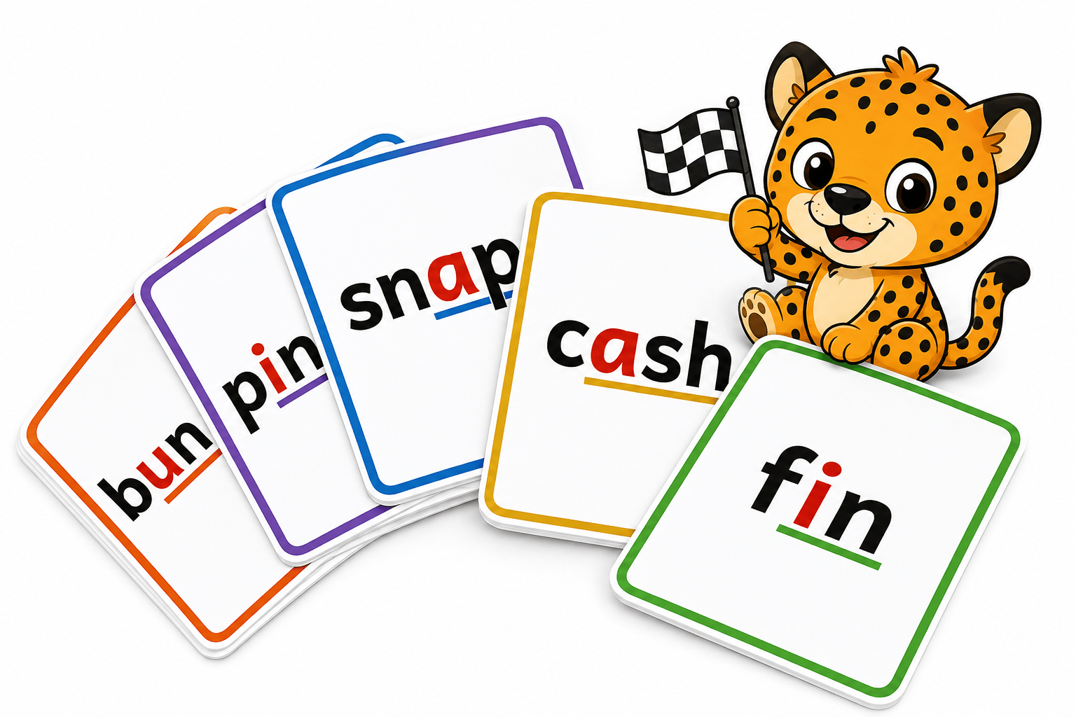 Cheetah Gears Flashcards