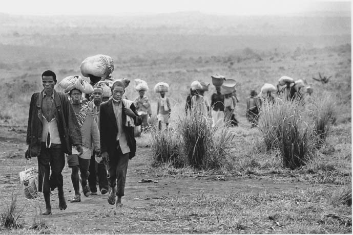 Lumea Contemporana Eseu Despre ViaÈa Din Romania