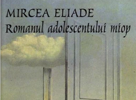 Rezumatul Romanului Adolescentului Miop Student Pe Net Portal Studentesc De Socializare