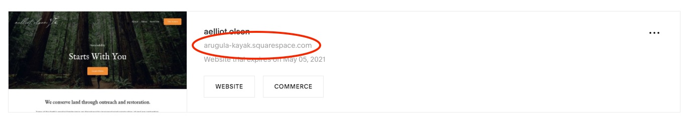 How much does a squarespace website really cost? — studio anansi