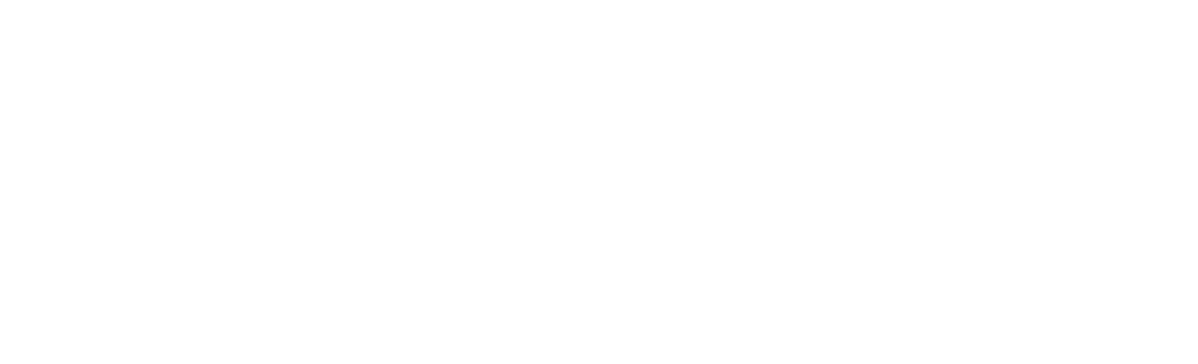 NECANN logo