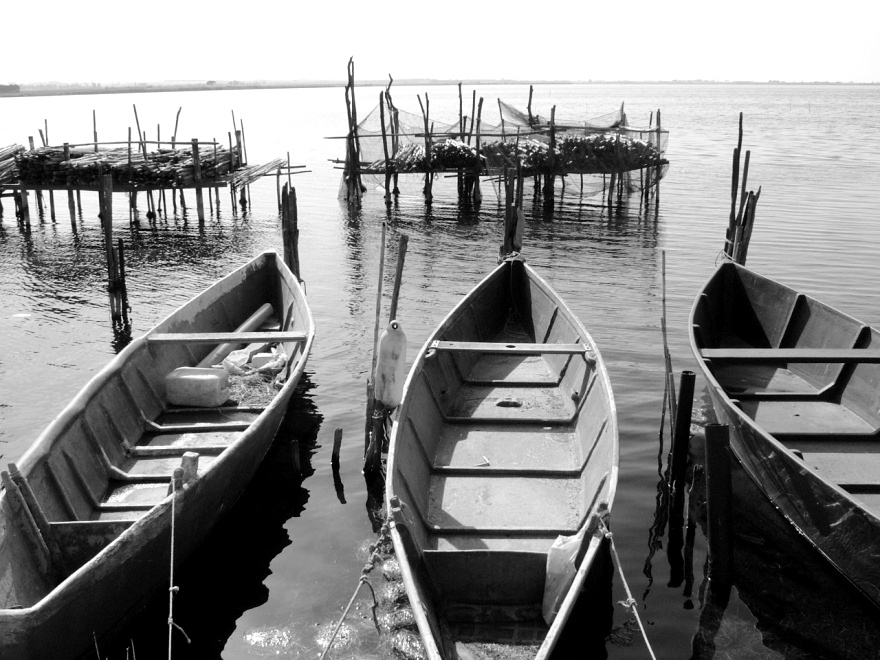 Gratuito immagini Il Fascino Del Bianco E Nero Dress Your Home ultima saluti