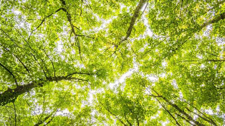 architectural study blog paper architect architecture firm Toronto Canada design studio firm, interior design, exterior, structure design, hiring, quarantine, covid, lecture writing, creative, inspiration modern modernism