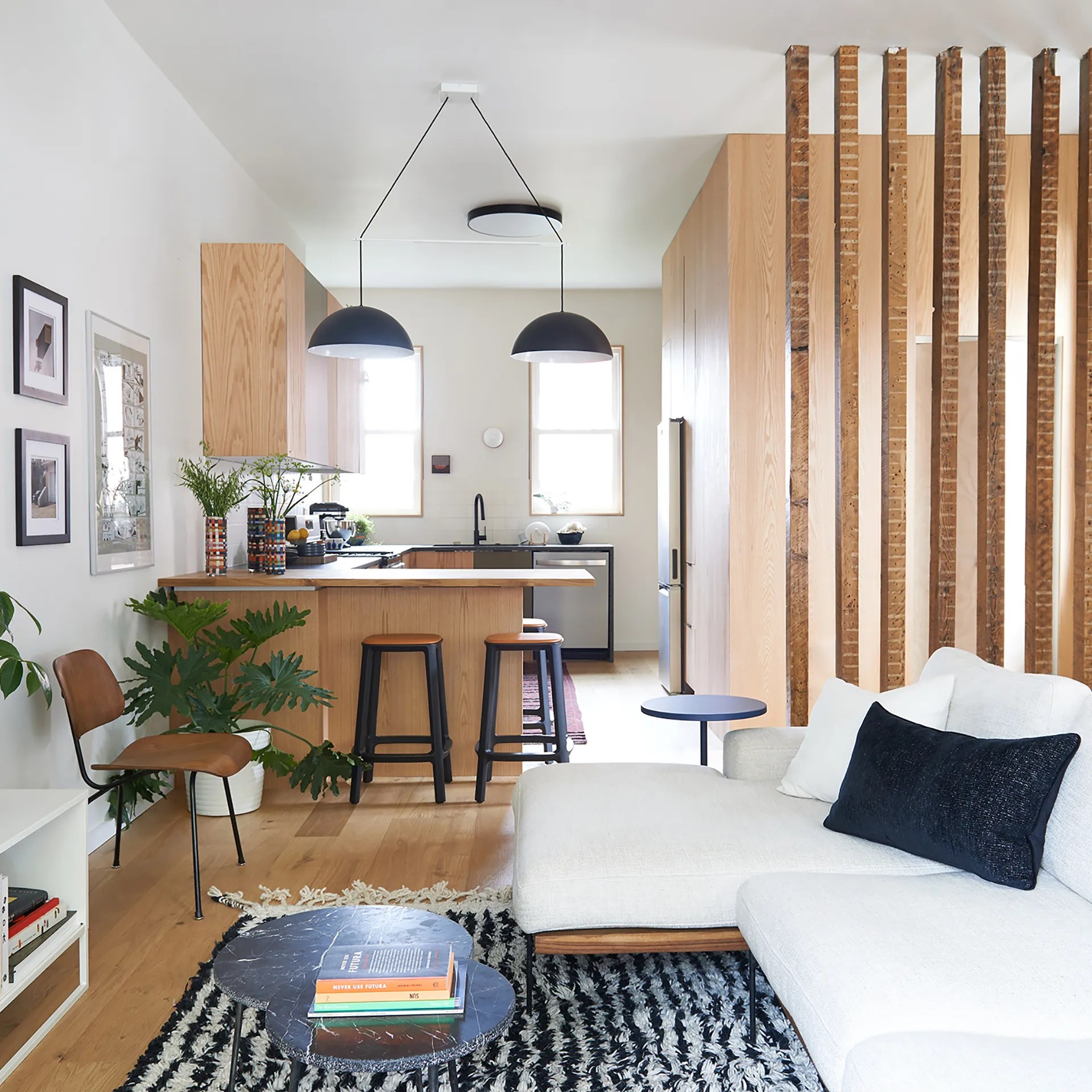 Decatur Residential Interior
